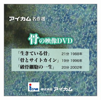 アイカム名作選　骨の映像DVD 33